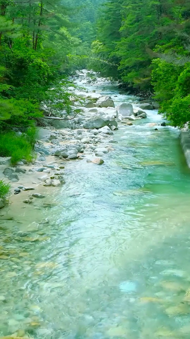 自然绿林护眼流水