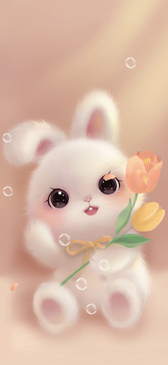 小兔叽乖乖吖
