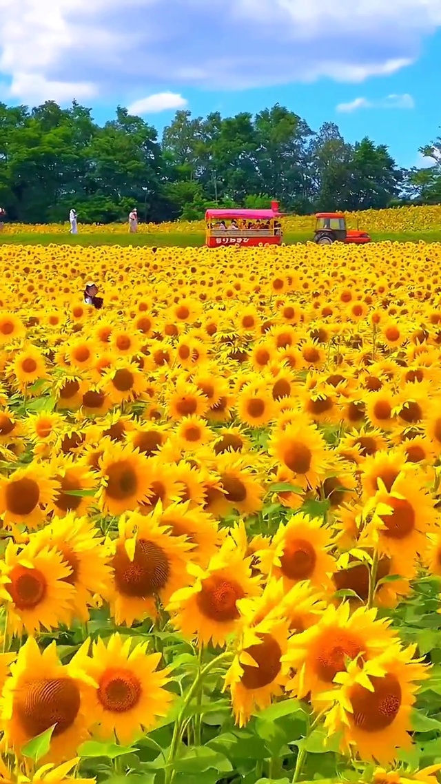 入目无他人 四下皆是你