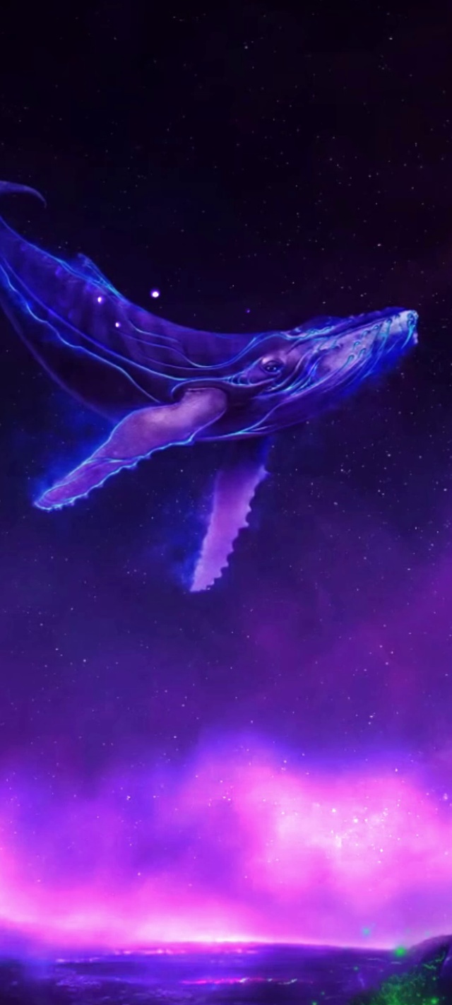 梦幻鲸鱼