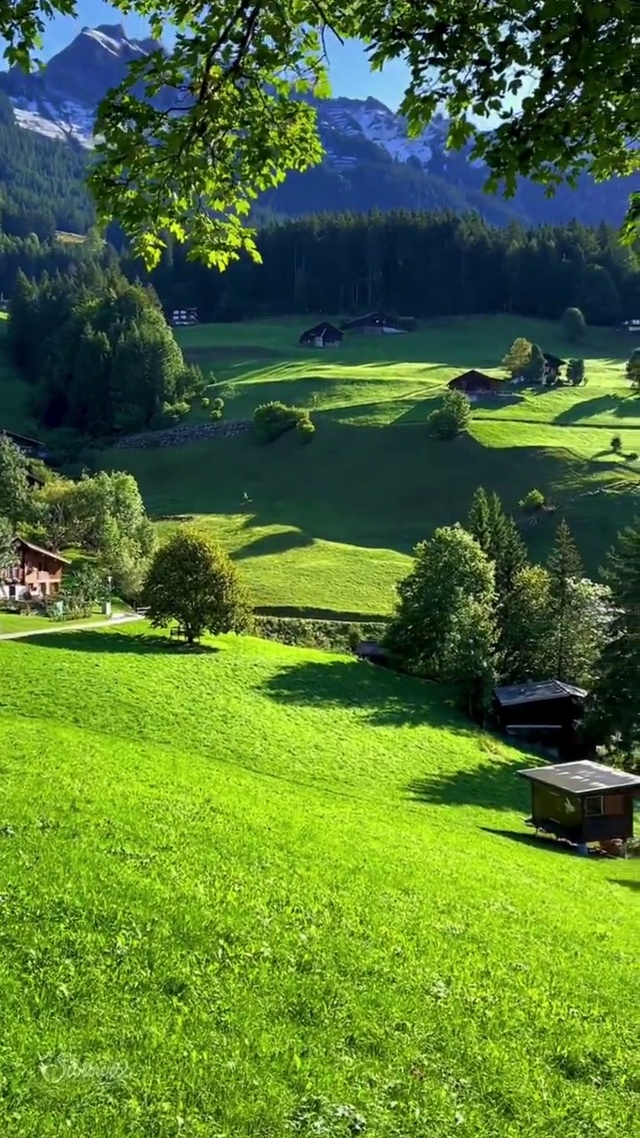 心旷神怡的感觉