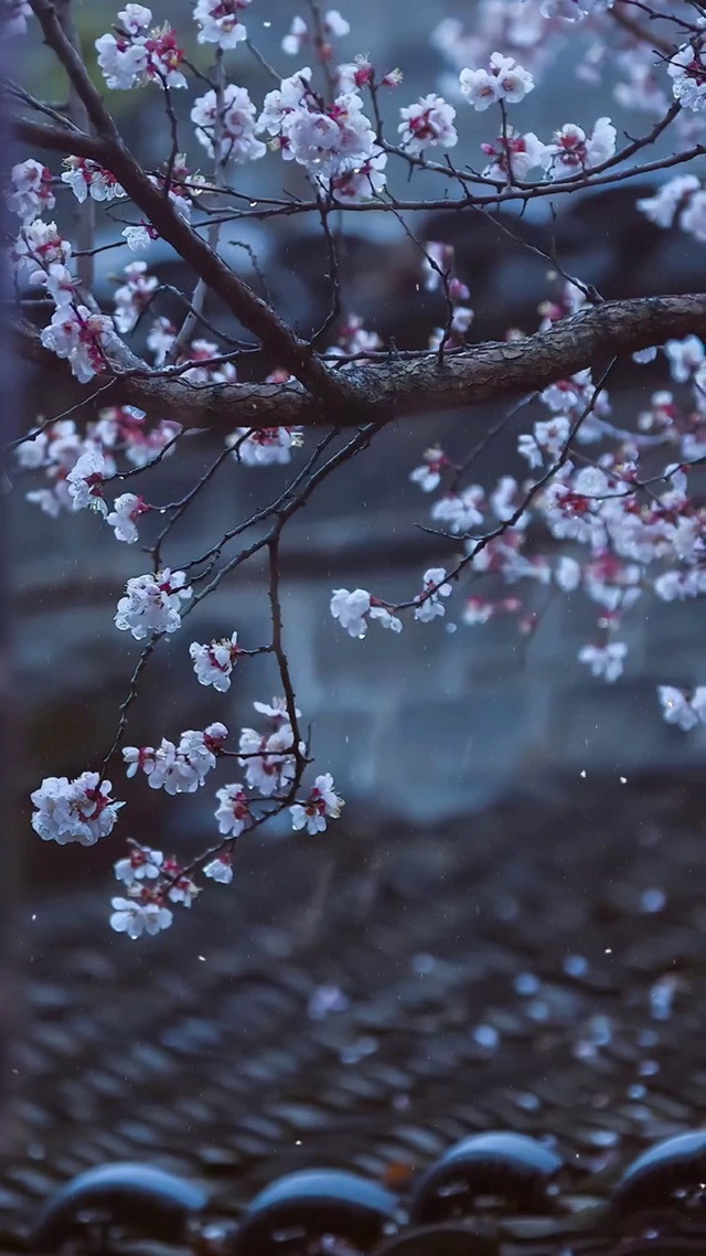 心随风动寄相思，片片相思赋予谁，一片痴情空与对，落花含情风含泪。