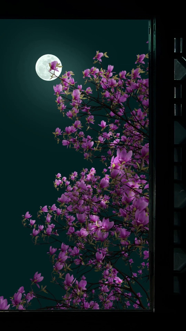 庭院深深坠海红，玉兰树下坐春风