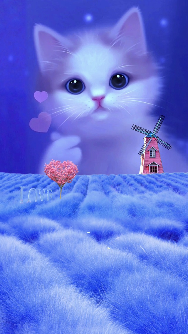 治愈猫咪