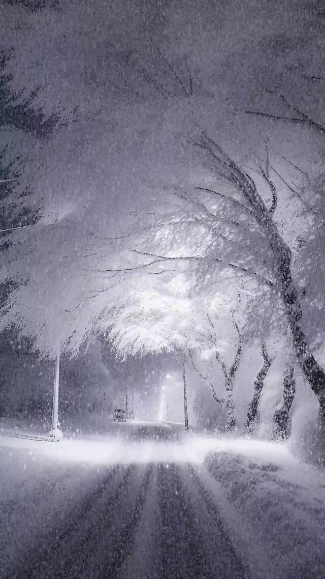 唯美雪景
