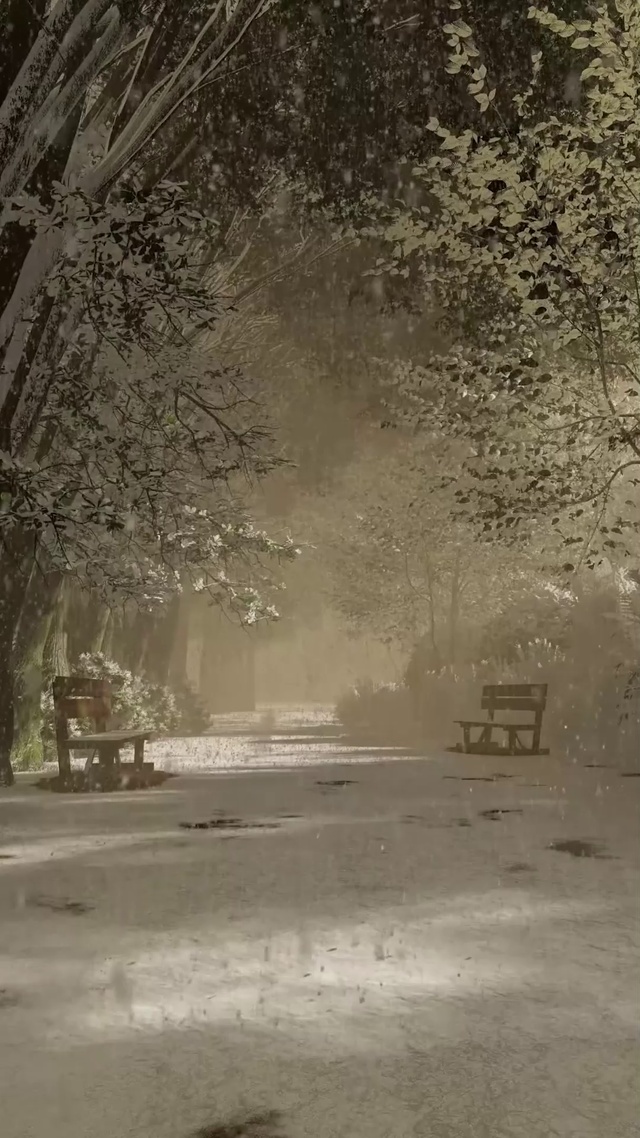 树林大雪