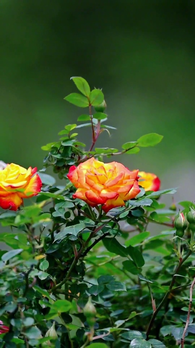 一路向前 一路温暖