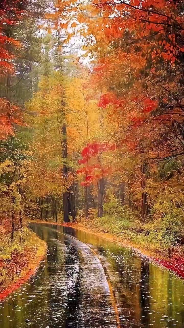 一场秋雨一场寒