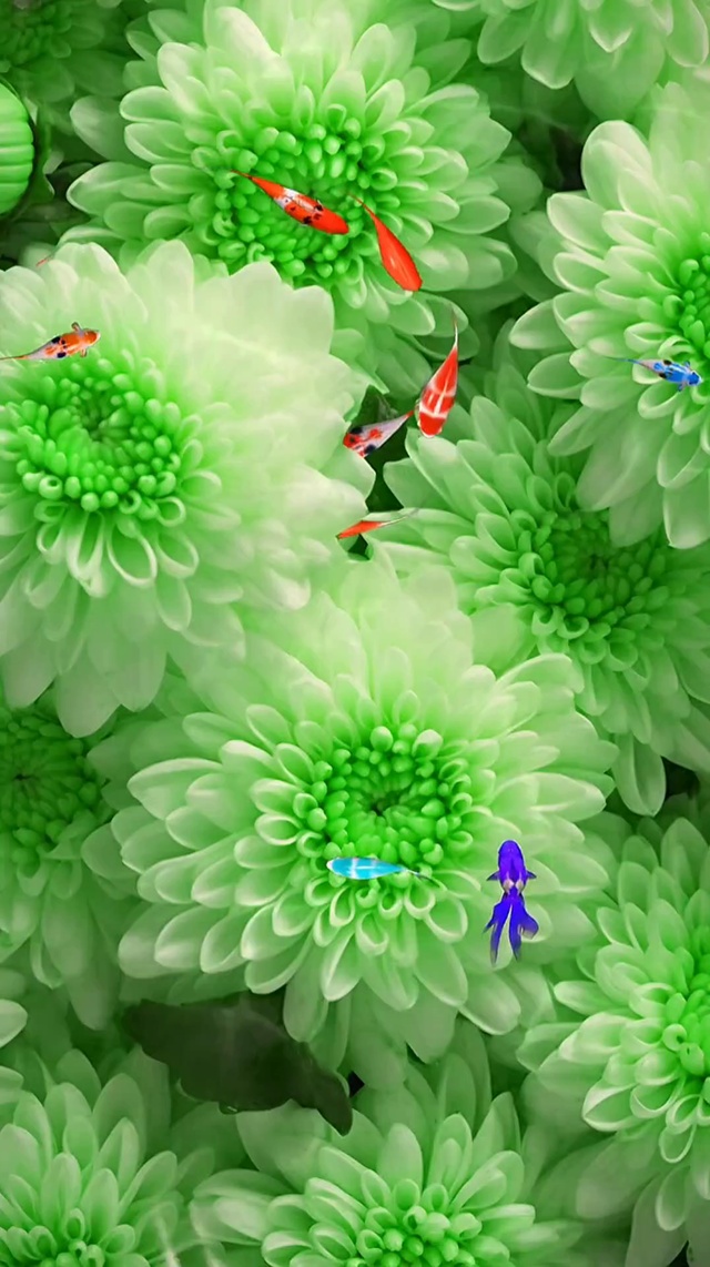 如鱼得水 富贵花开