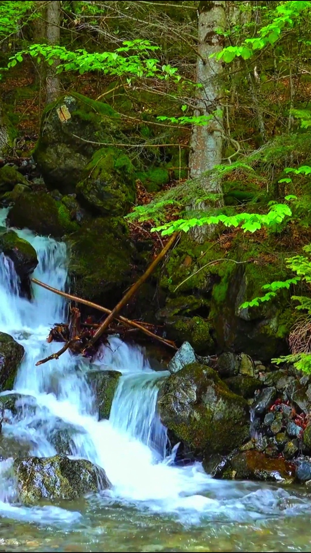 4K清晰山间溪流