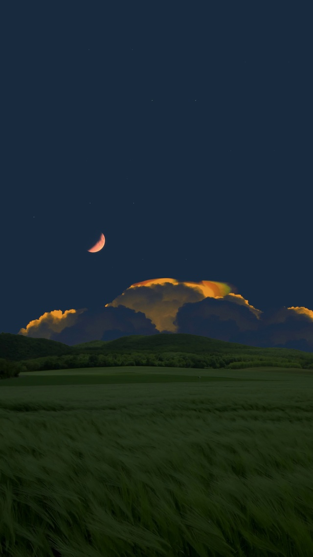 新出的，抖音都没用过的，用了直接可以抖音上传