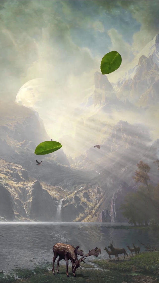 4K仙境动物夕阳