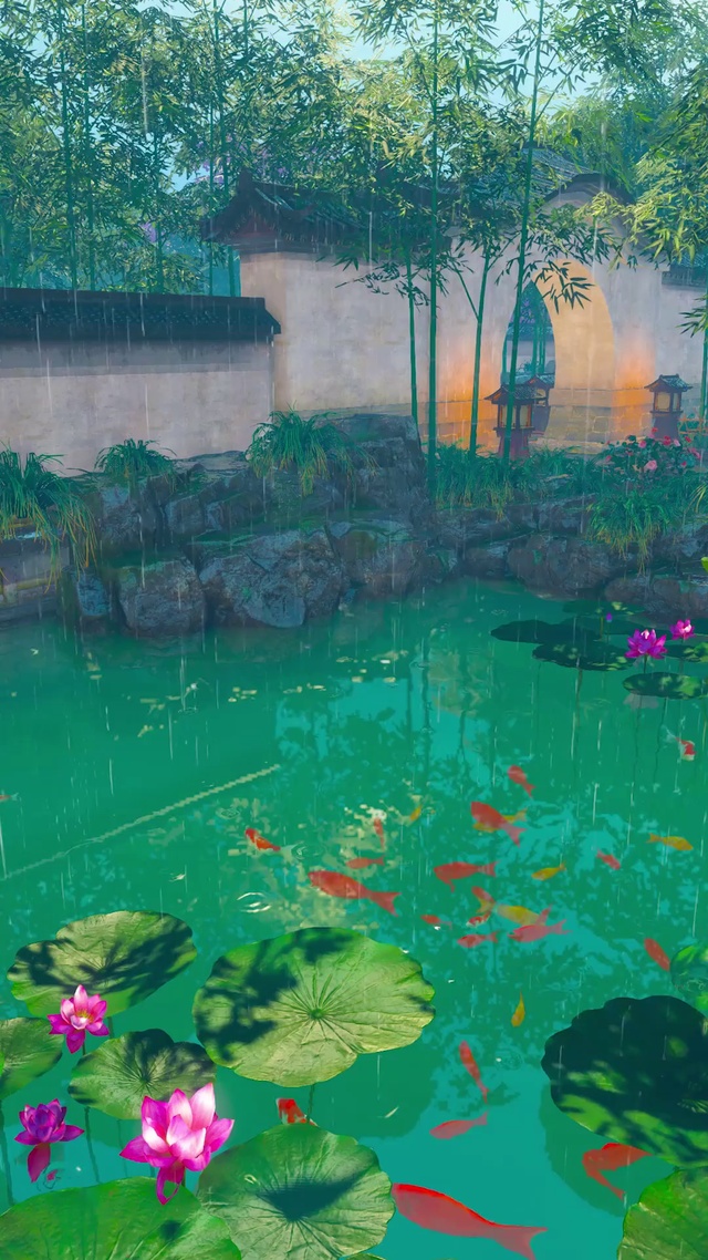 美丽的雨中庭院