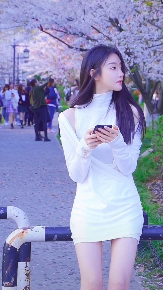 樱花树下的美女 