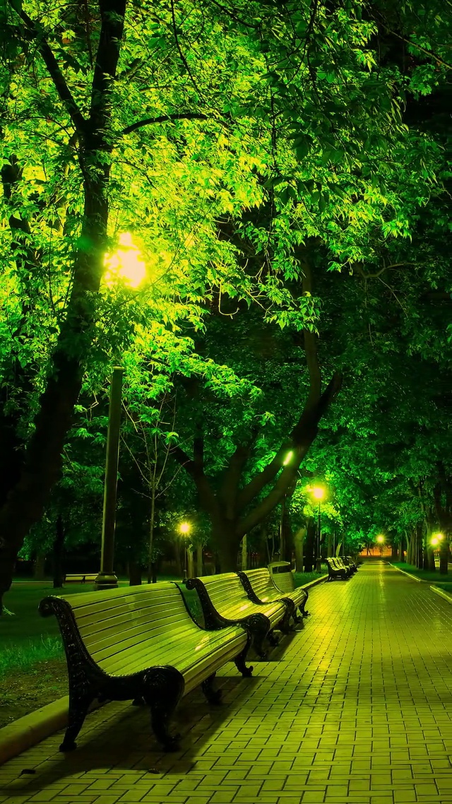 一缕相思 一夜无梦