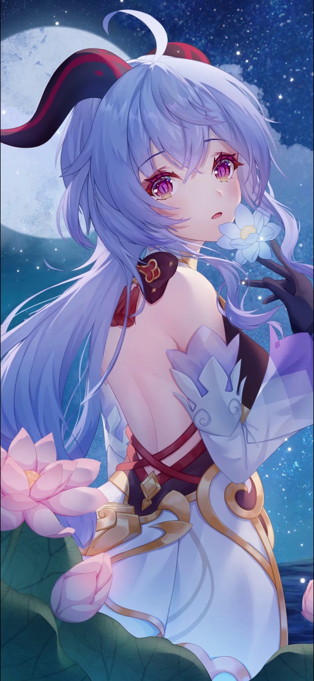 唯美治愈原神 甘雨，太美啦【作品均有ae工程文件🈲️转载】