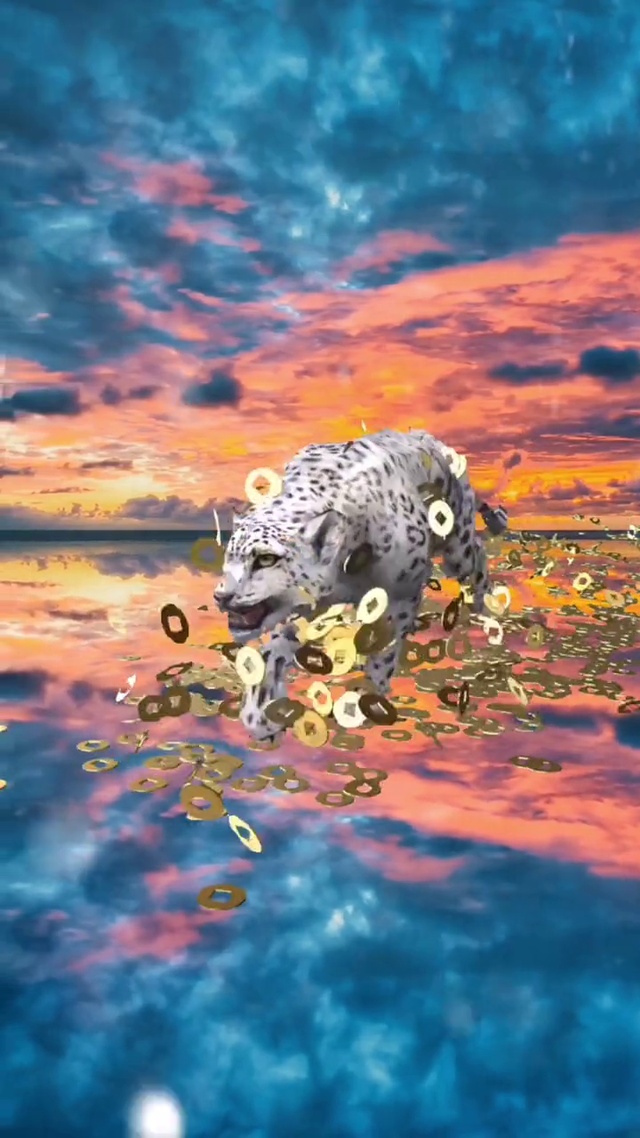 金钱豹