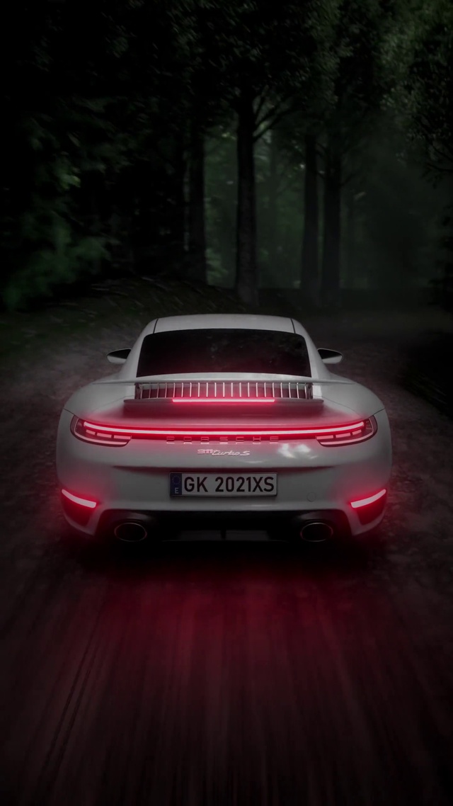 汽车驶过黑森林