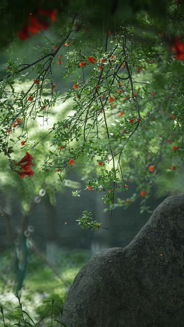 细雨湿衣看不见，闲花落地看不见