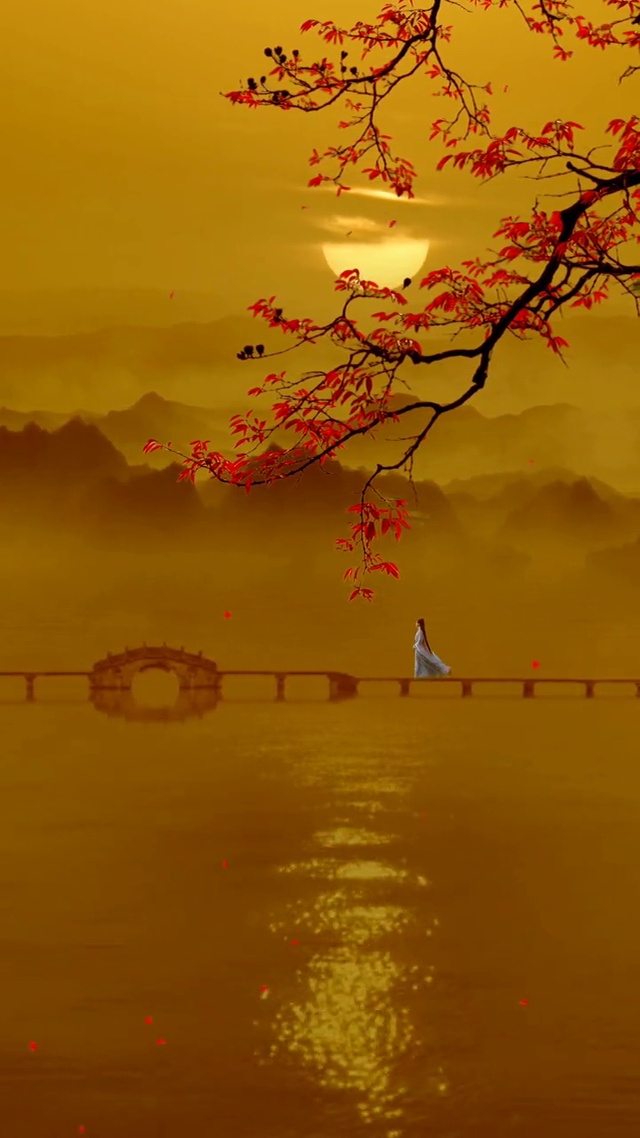 秋风起，秋叶落