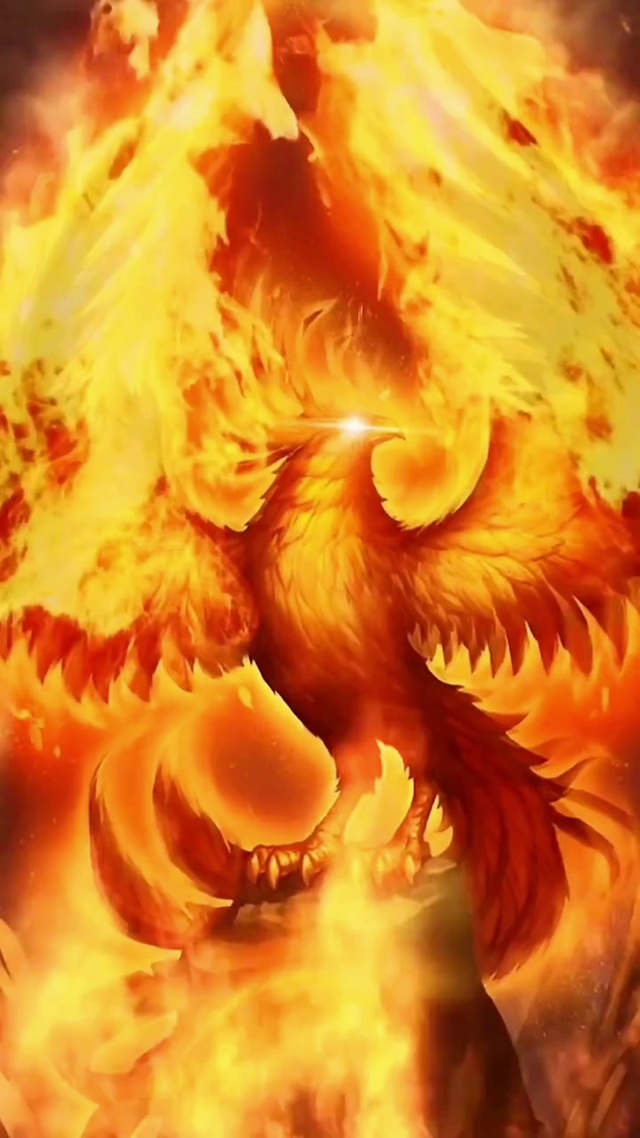 火凤凰(动漫手机动态壁纸) - 动漫手机壁纸下载 - 元气壁纸