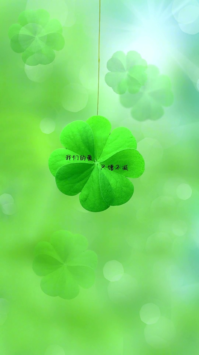 我们的爱 只增不减