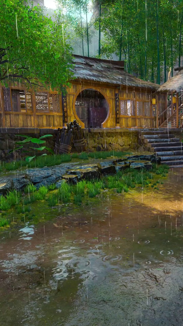 雨中美丽的小竹林(风景手机动态壁纸) - 风景手机壁纸下载 - 元气壁纸