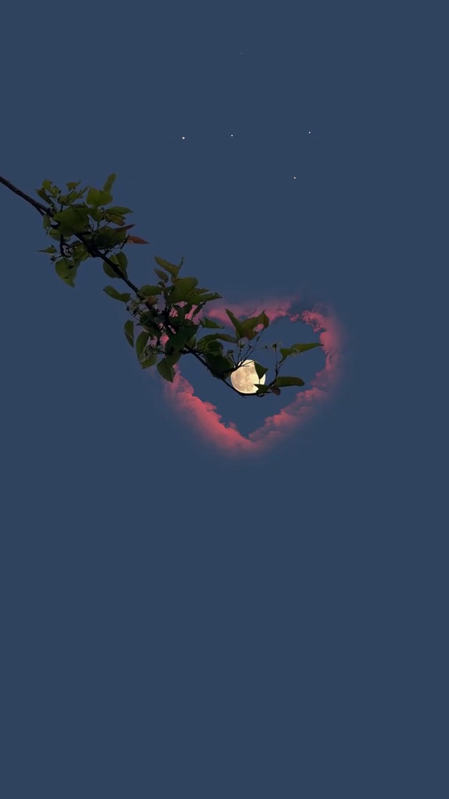 月亮有的，是温柔。