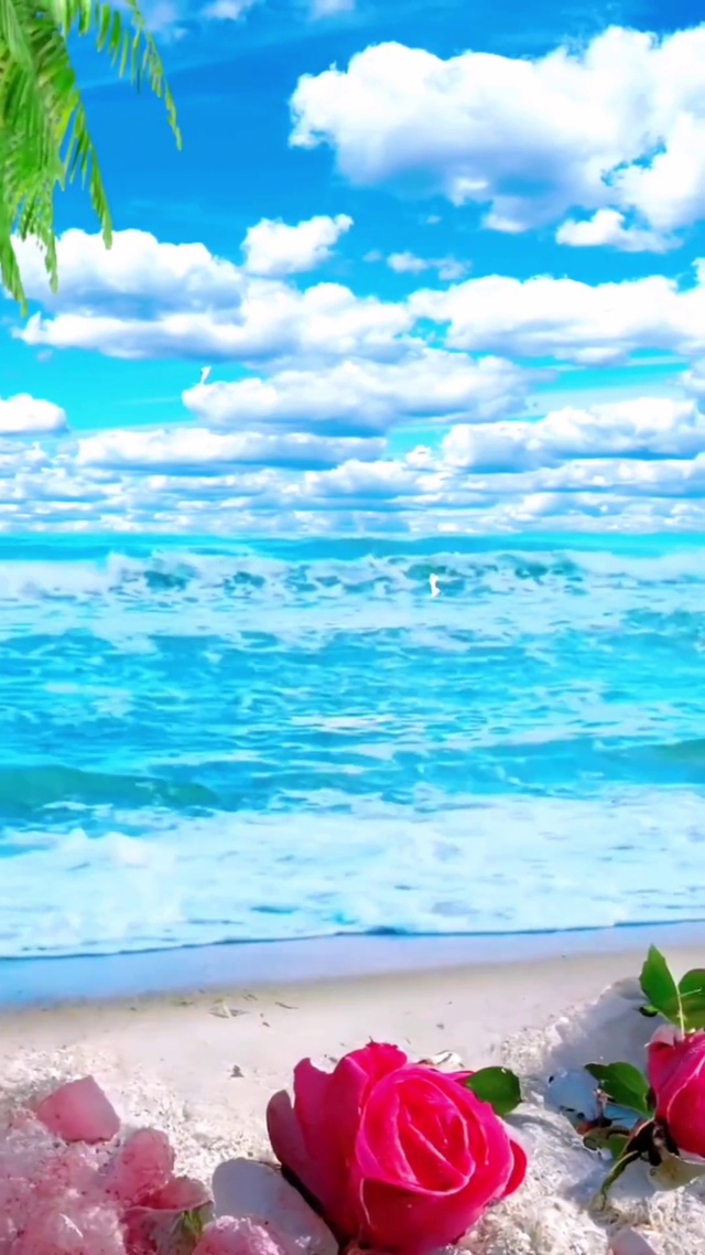 海浪