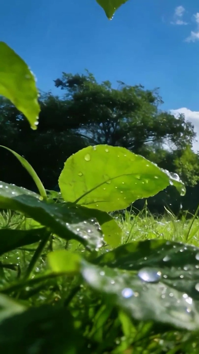 雨过天晴