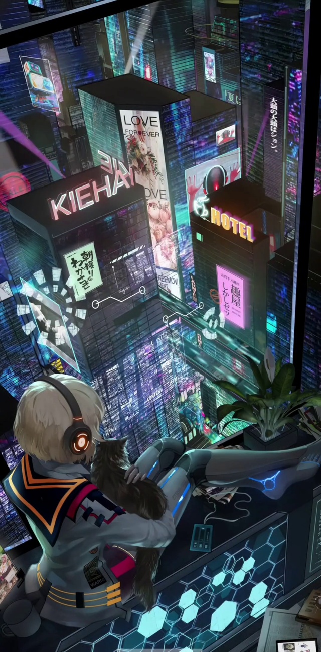 繁华都市女孩与猫