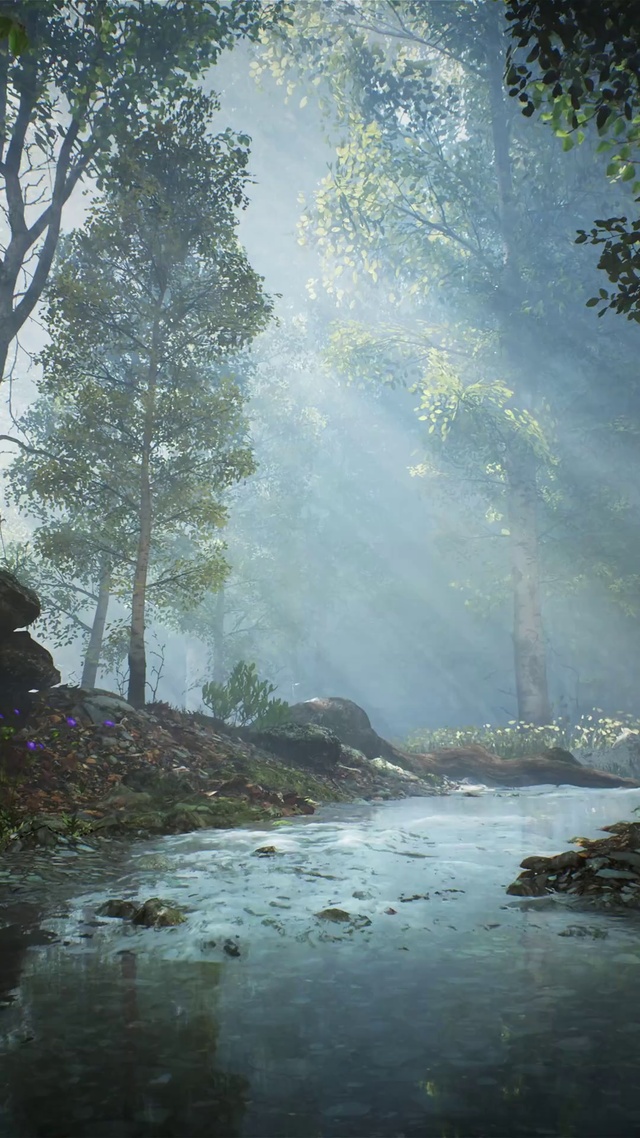 森林小溪（4K双端）