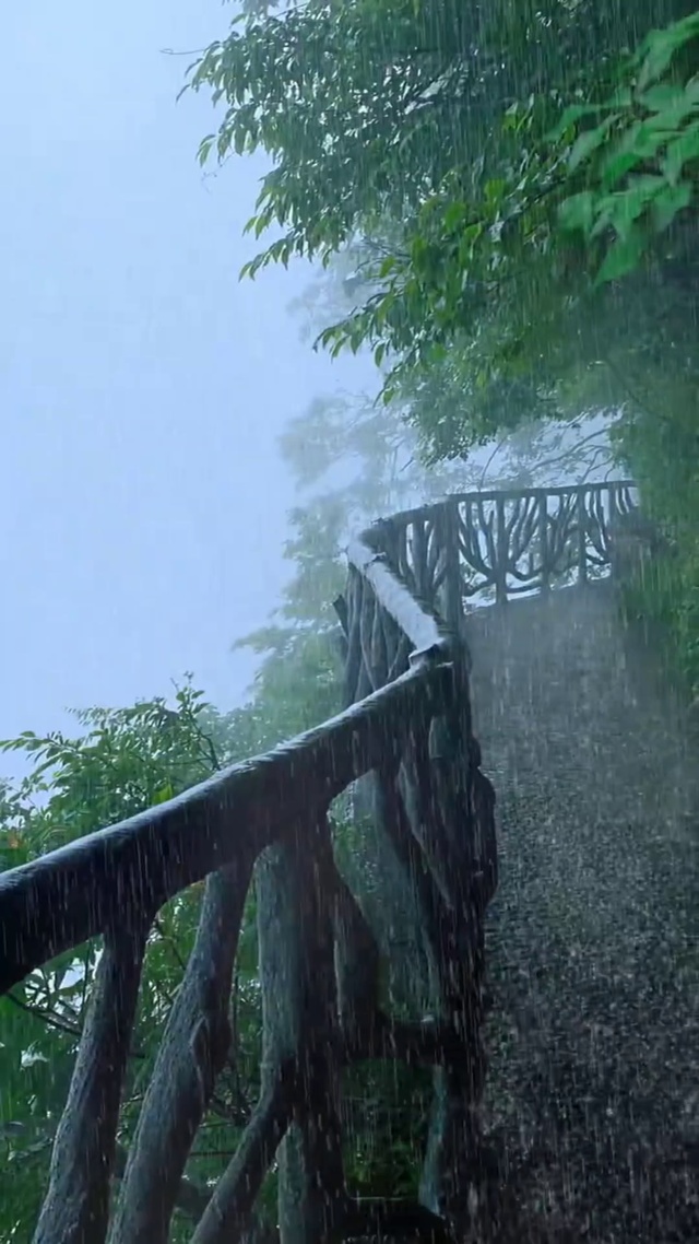 山林惹了骤雨(风景手机动态壁纸) - 风景手机壁纸下载 - 元气壁纸