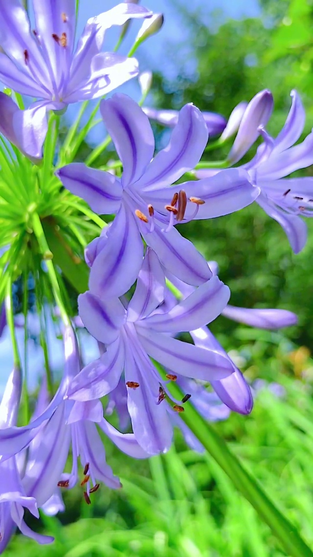 一花一草一世界