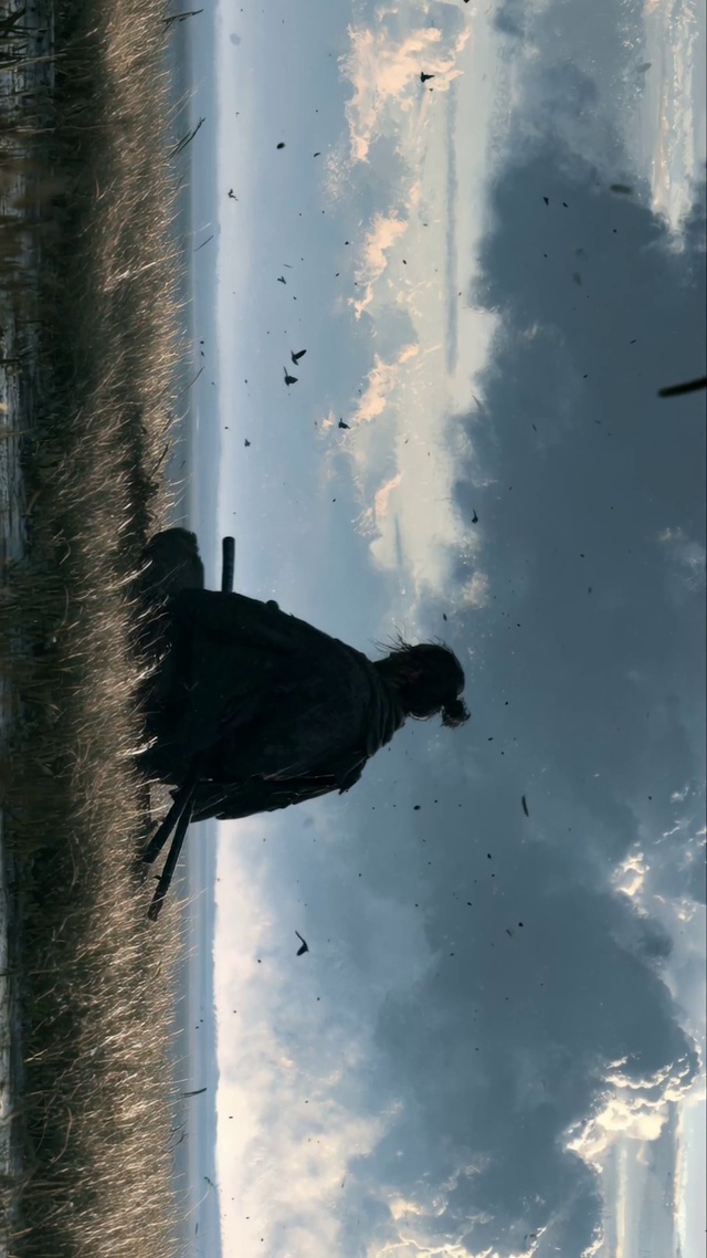 流浪武士