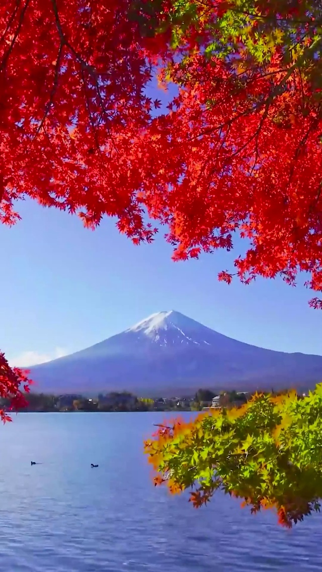 唯美秋天红叶湖富士山