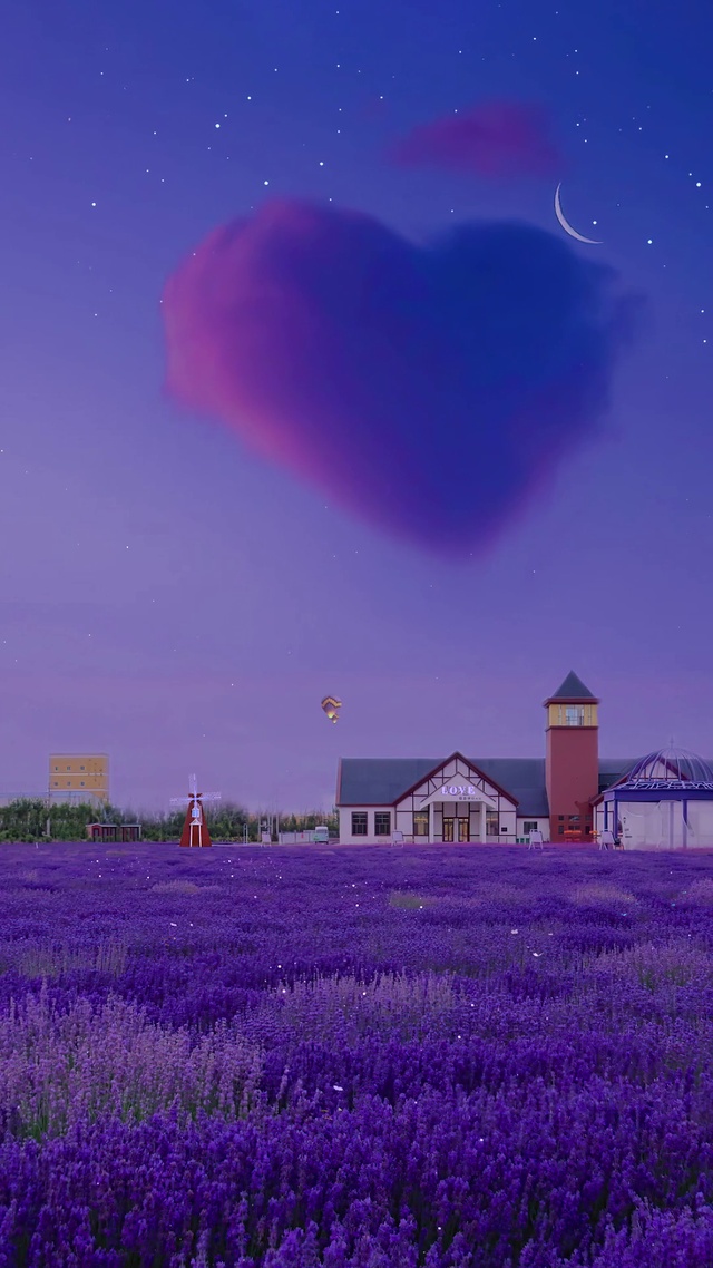 爆款夜景薰衣草