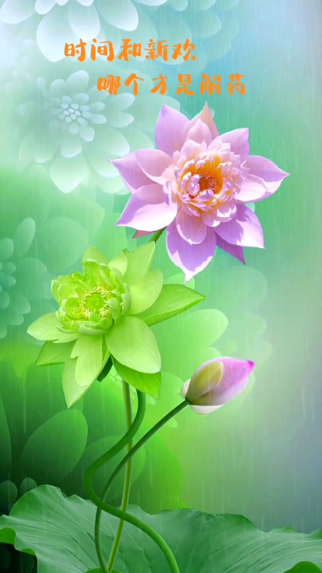 时间和新欢 哪个才是解药