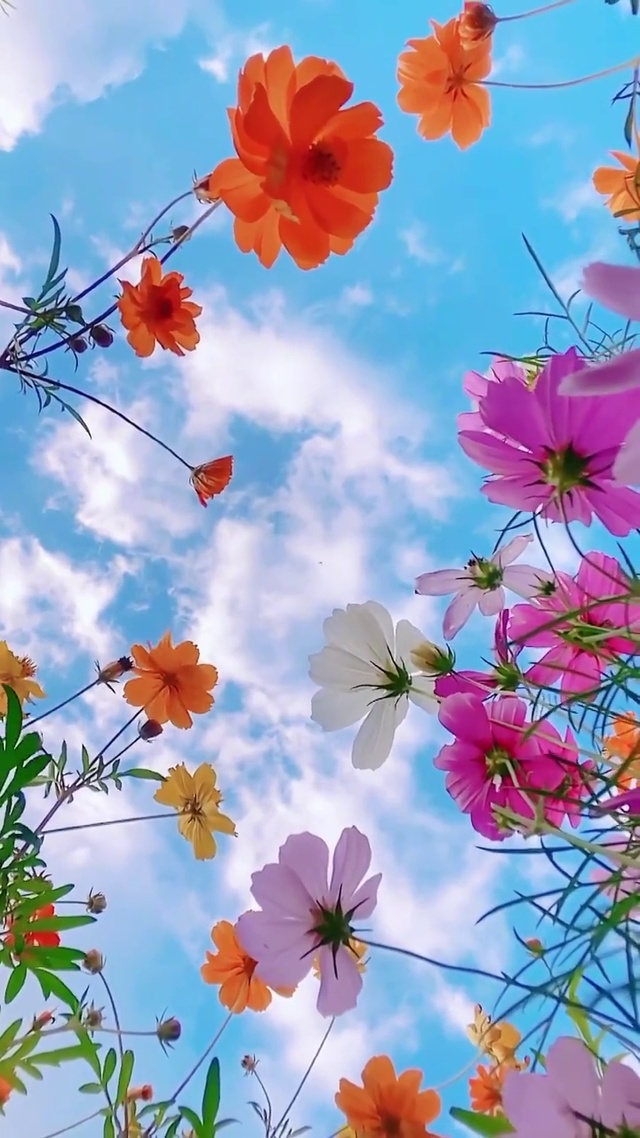 保持热爱，奔赴山海 ！