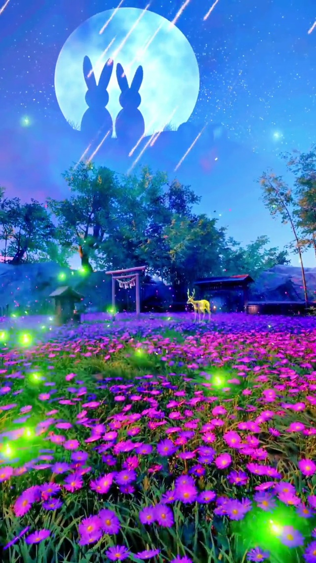 携手看这漫天星辰