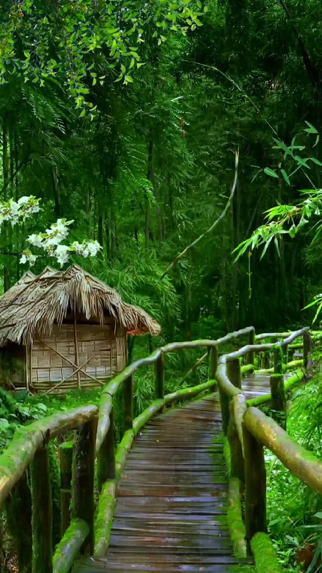 这样一个季节，这样一场雨，已许久许久，不去记忆雨的痕迹了，不知是遗忘了雨，还是隔离了自己。