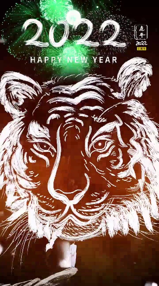素描绘画白老虎