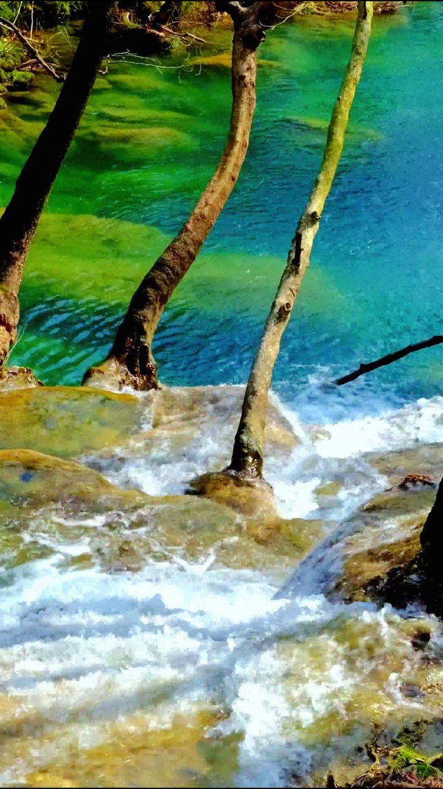 清澈山间溪流 4K