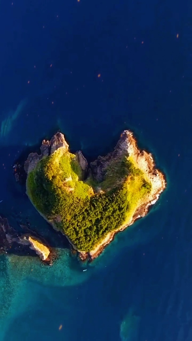 一定要用你的热爱，去好好的看待这个世界 #今日文案