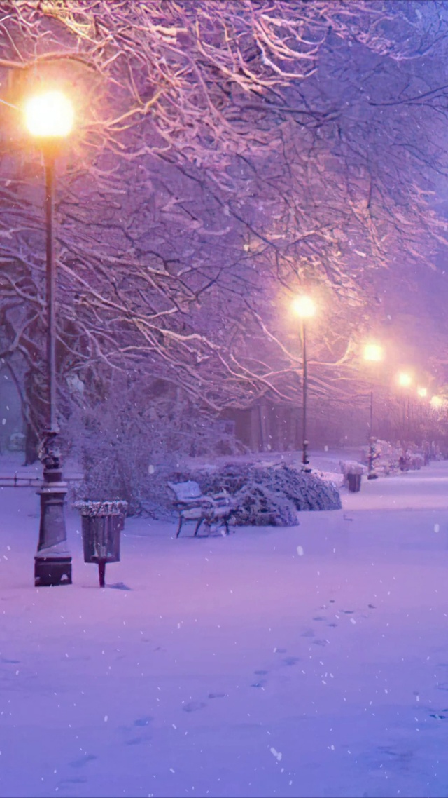 雪天小路