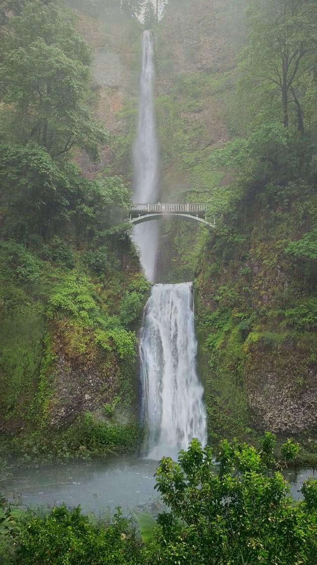 四季变换
