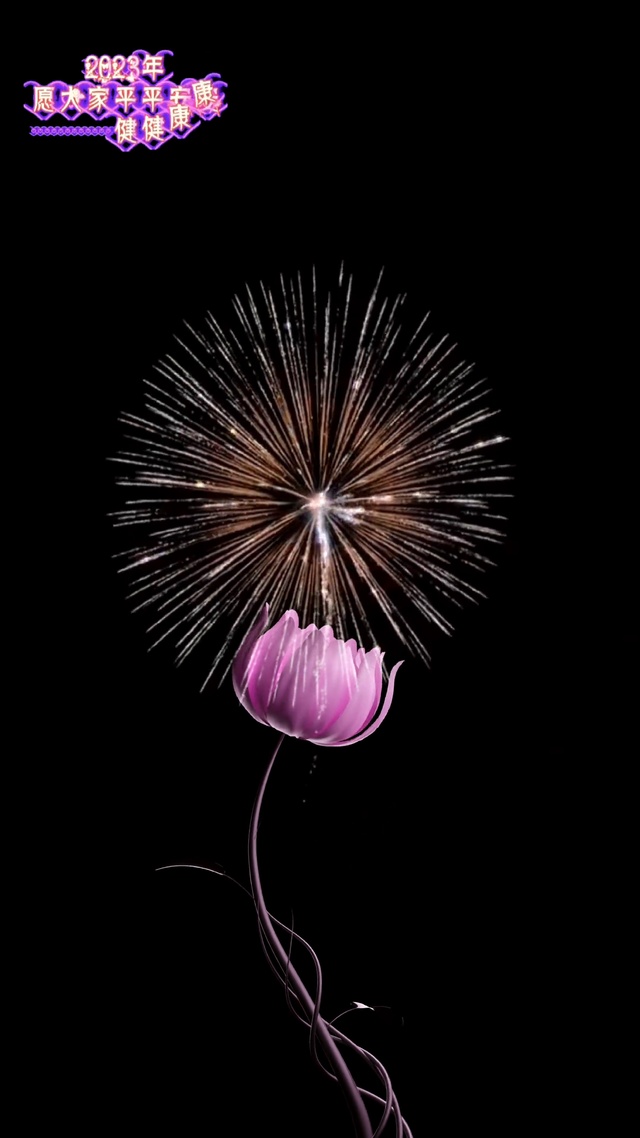 烟火向星辰，所愿皆成真