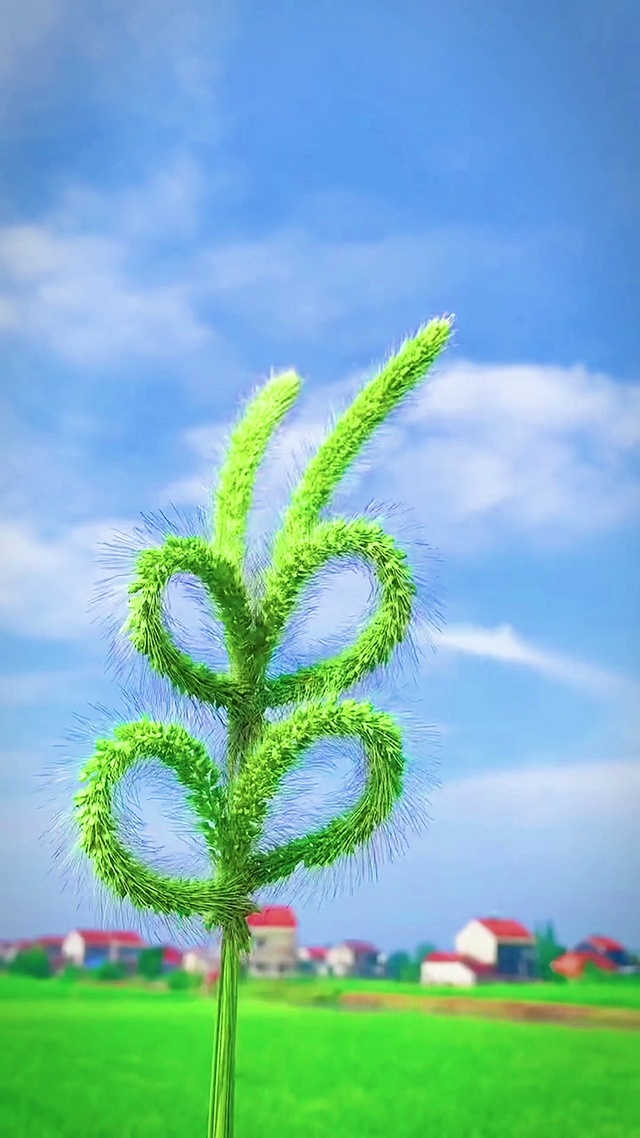 🔆 ʜᴀ͟ᴘ͟ᴘ͟ʏ ᴇᴠᴇʀʏᴅᴀʏ̆̈ 依然要保持热爱呀 今天我请客 请你快乐✌️