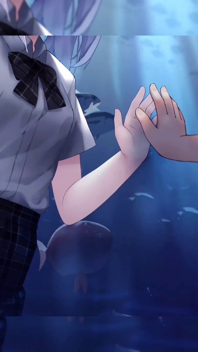 送你一张动态壁纸60帧