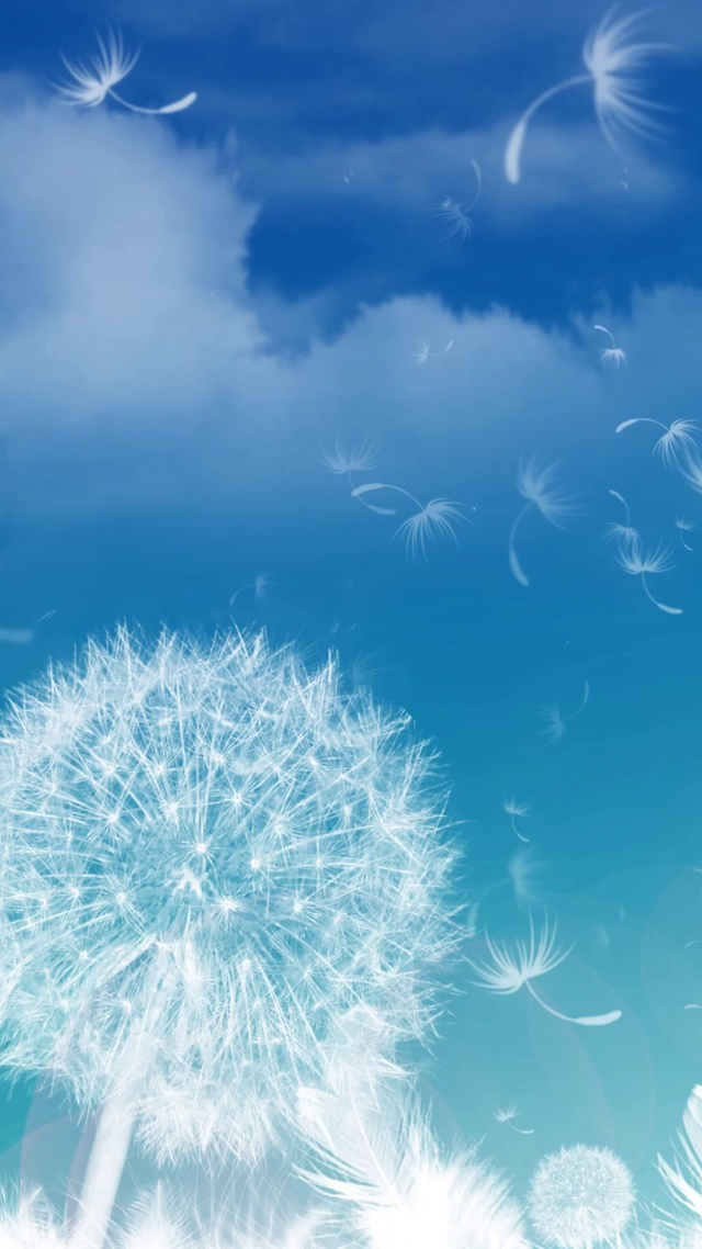 蓝天下的蒲公英